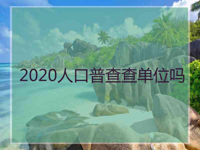 2020人口普查查单位吗