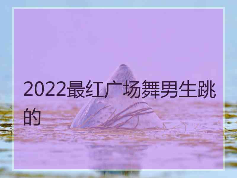 2022最红广场舞男生跳的