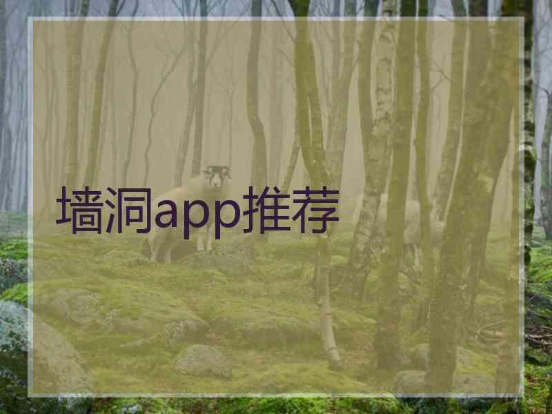 墙洞app推荐