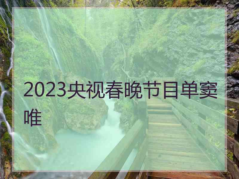 2023央视春晚节目单窦唯