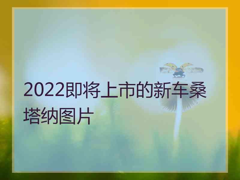 2022即将上市的新车桑塔纳图片