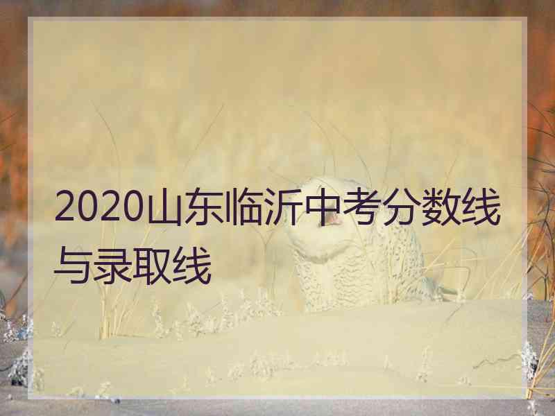 2020山东临沂中考分数线与录取线