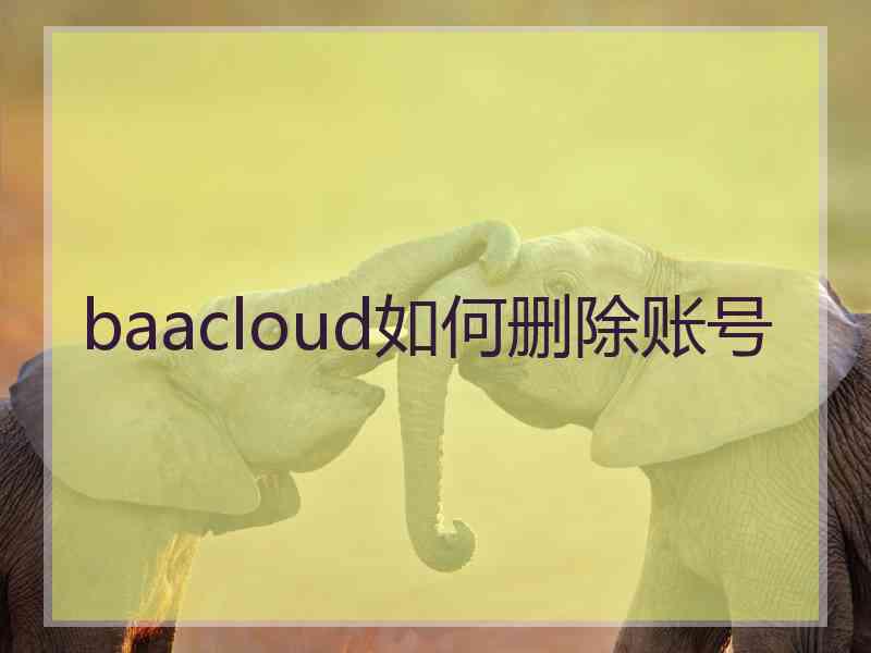 baacloud如何删除账号