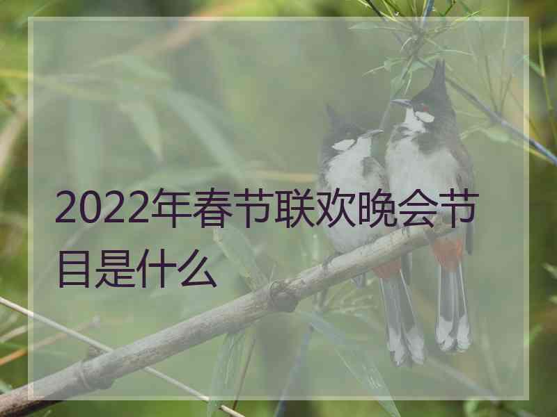 2022年春节联欢晚会节目是什么