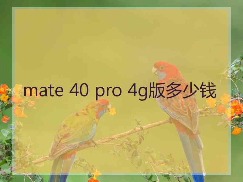 mate 40 pro 4g版多少钱