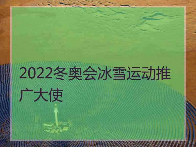 2022冬奥会冰雪运动推广大使