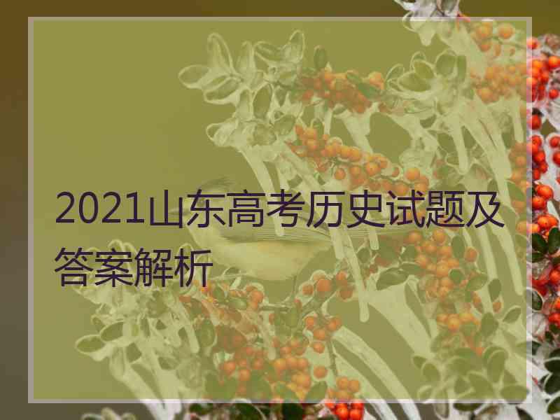 2021山东高考历史试题及答案解析