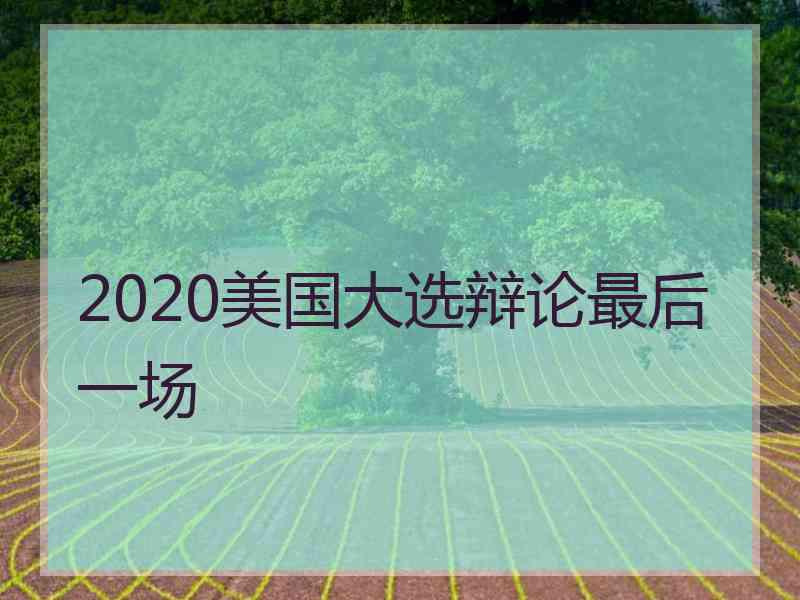 2020美国大选辩论最后一场