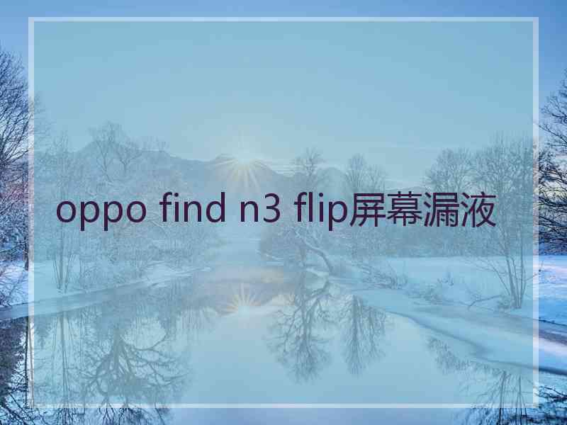 oppo find n3 flip屏幕漏液