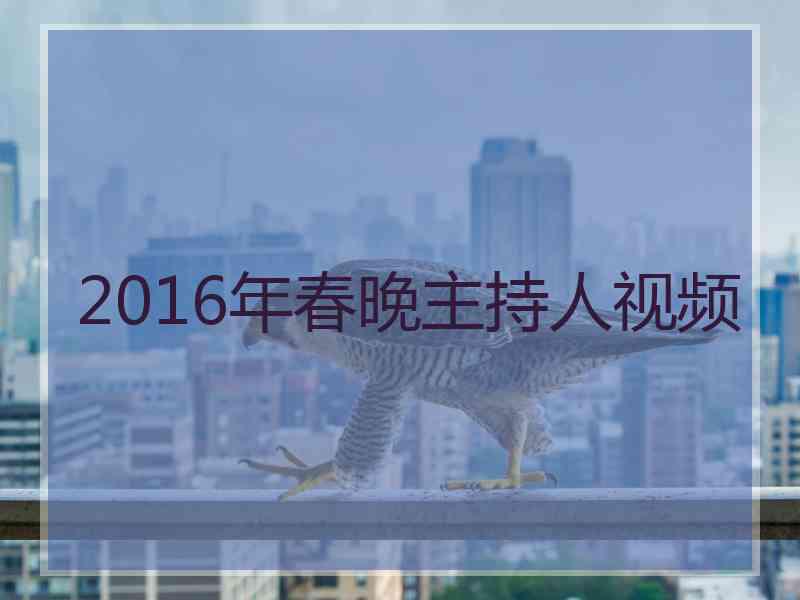 2016年春晚主持人视频