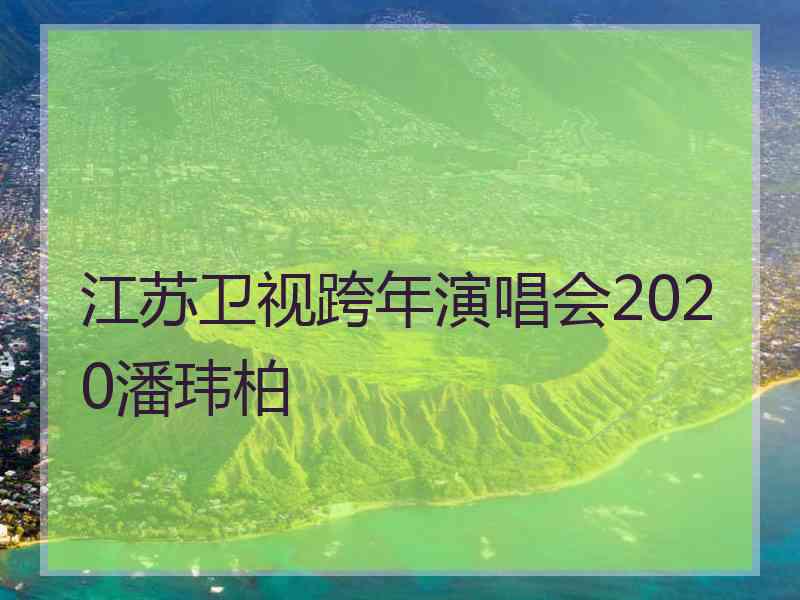 江苏卫视跨年演唱会2020潘玮柏