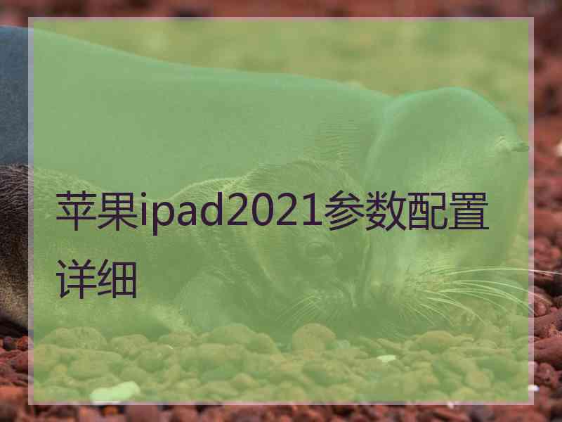 苹果ipad2021参数配置详细