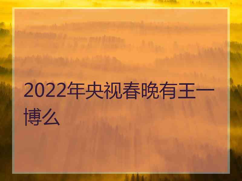 2022年央视春晚有王一博么