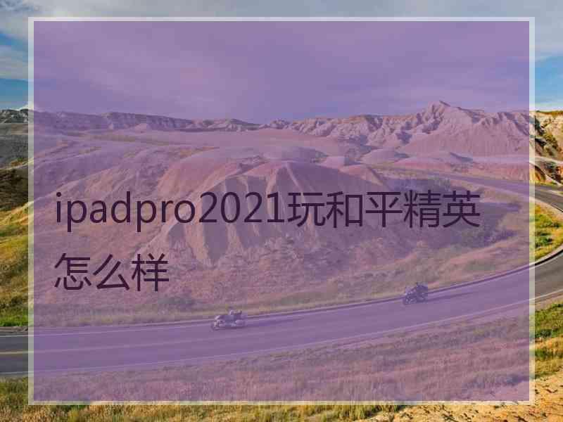 ipadpro2021玩和平精英怎么样