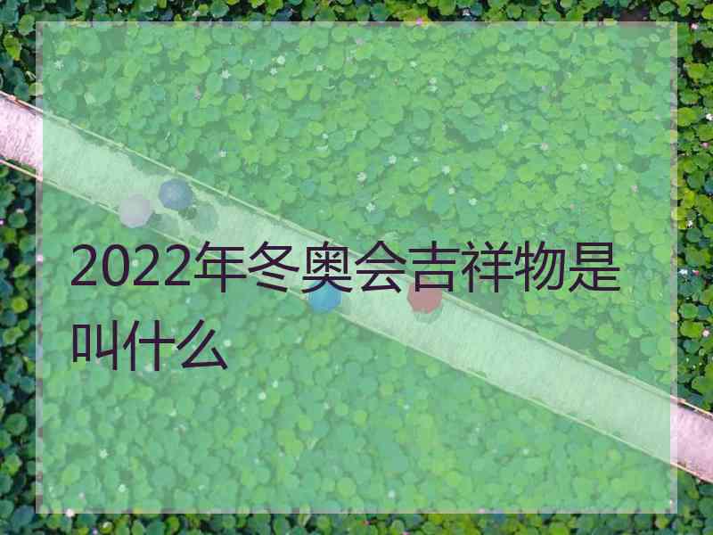 2022年冬奥会吉祥物是叫什么