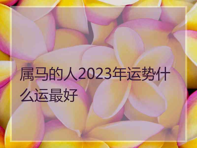 属马的人2023年运势什么运最好