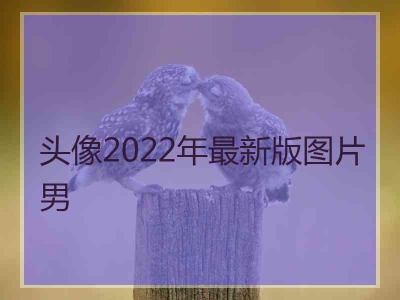 头像2022年最新版图片男