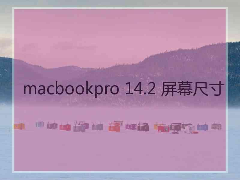 macbookpro 14.2 屏幕尺寸