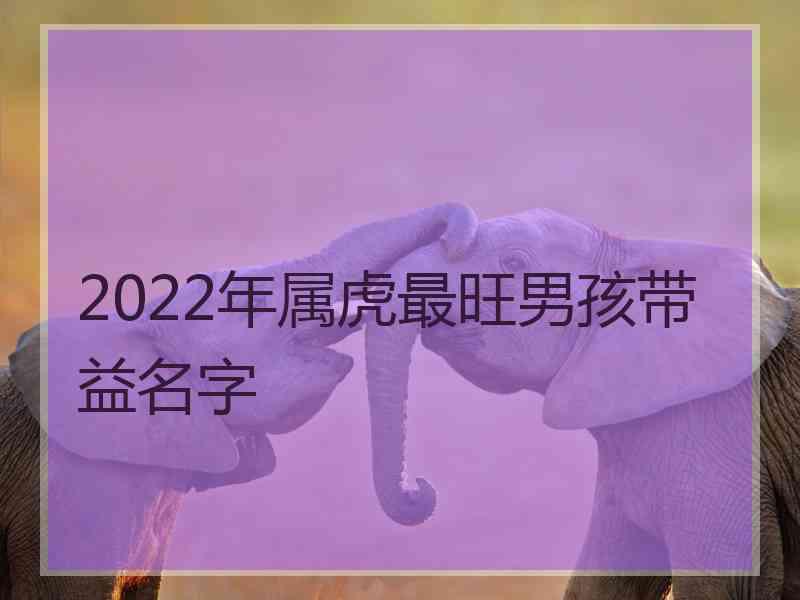 2022年属虎最旺男孩带益名字