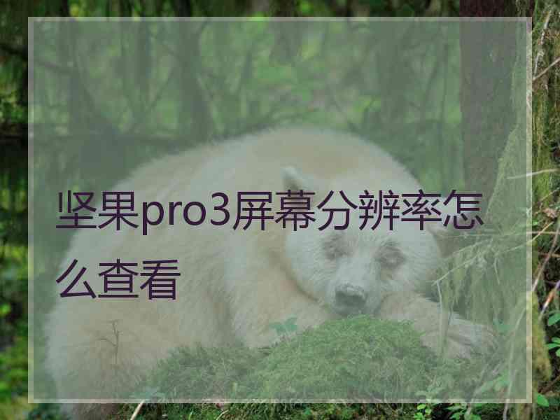 坚果pro3屏幕分辨率怎么查看