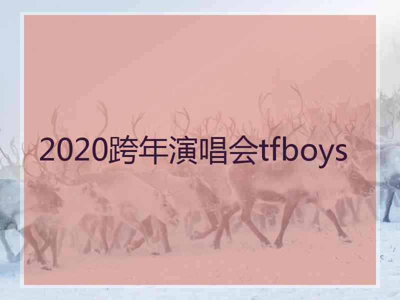 2020跨年演唱会tfboys