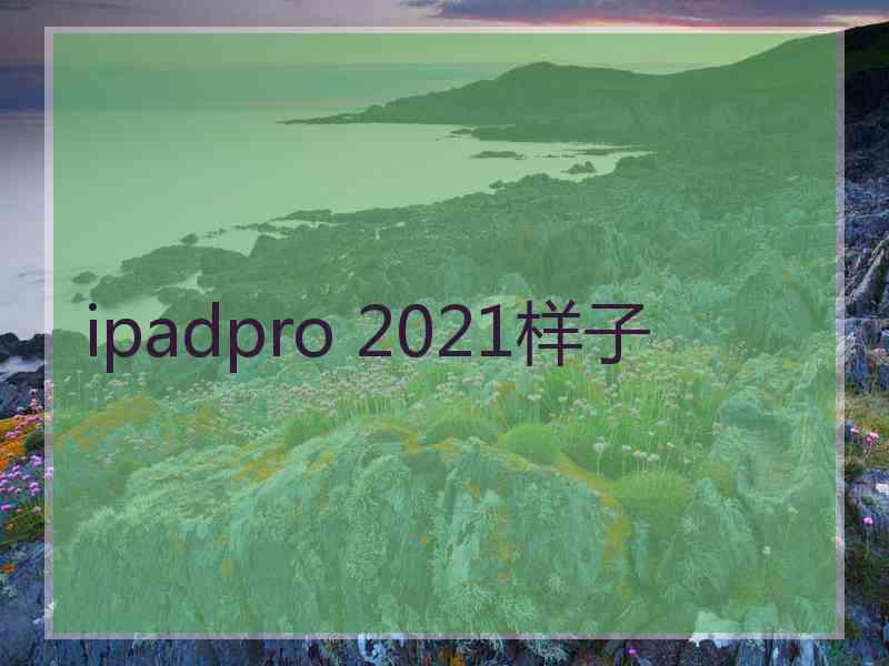 ipadpro 2021样子