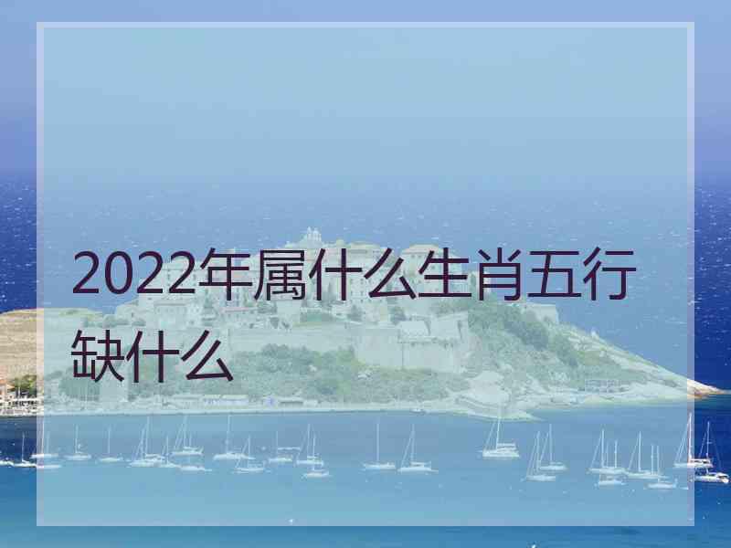 2022年属什么生肖五行缺什么