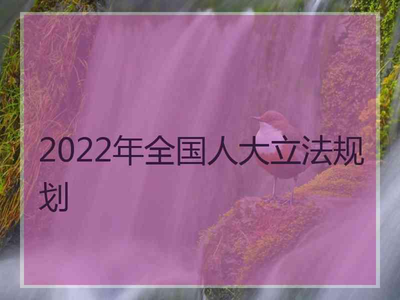 2022年全国人大立法规划