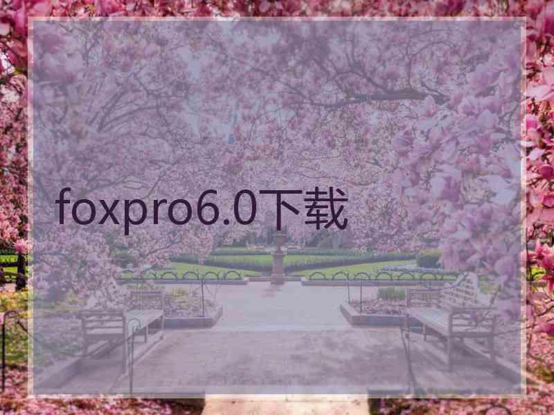 foxpro6.0下载