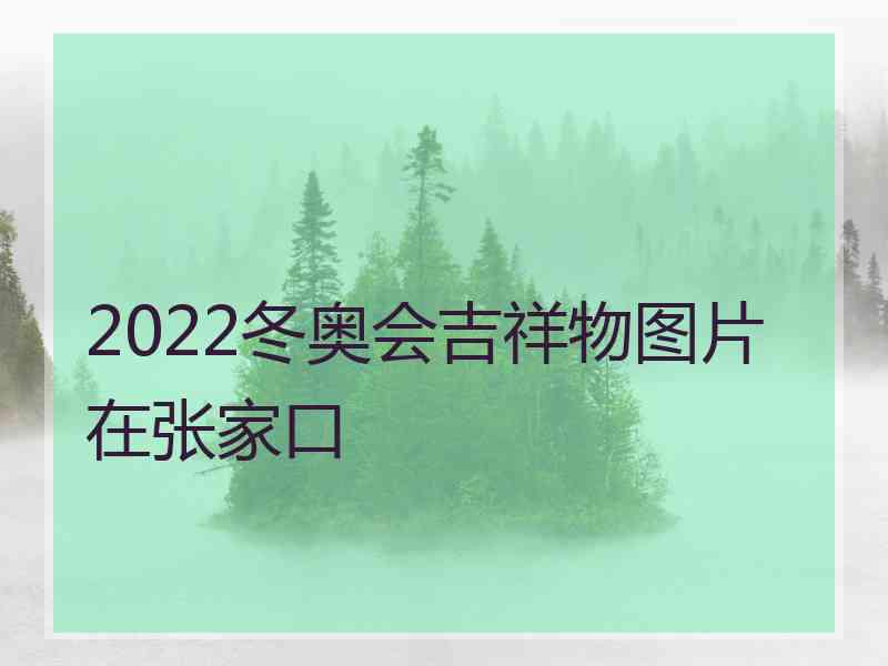 2022冬奥会吉祥物图片在张家口