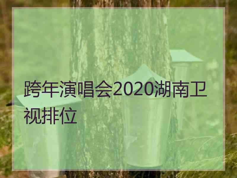 跨年演唱会2020湖南卫视排位