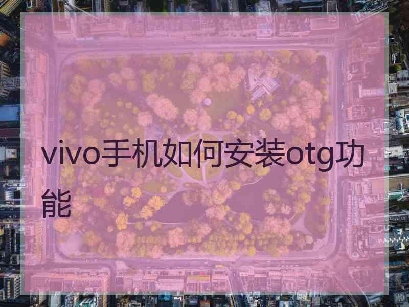 vivo手机如何安装otg功能