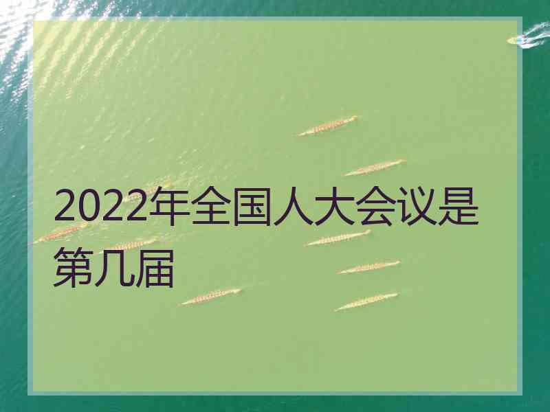 2022年全国人大会议是第几届