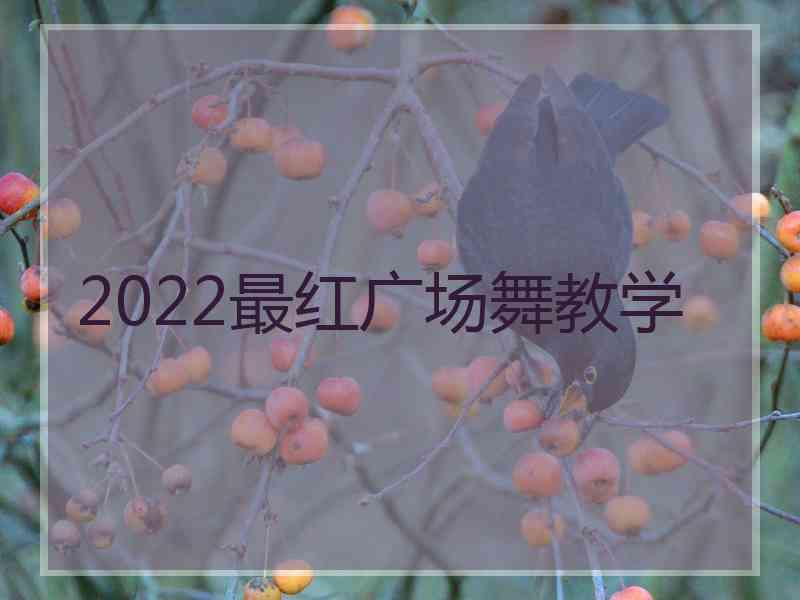 2022最红广场舞教学