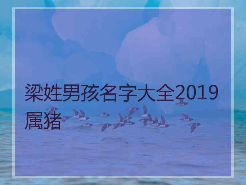 梁姓男孩名字大全2019属猪