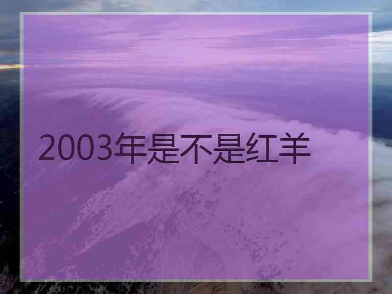 2003年是不是红羊