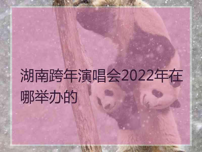 湖南跨年演唱会2022年在哪举办的