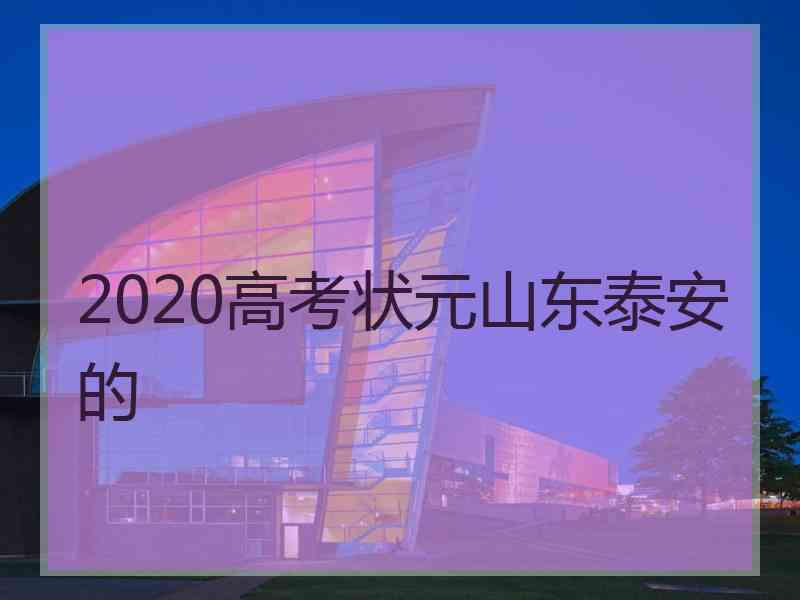 2020高考状元山东泰安的