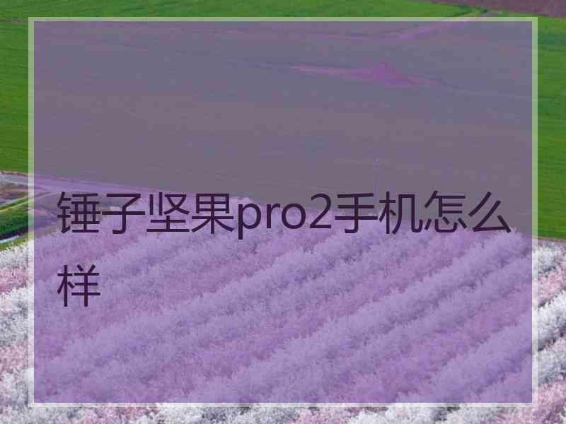 锤子坚果pro2手机怎么样