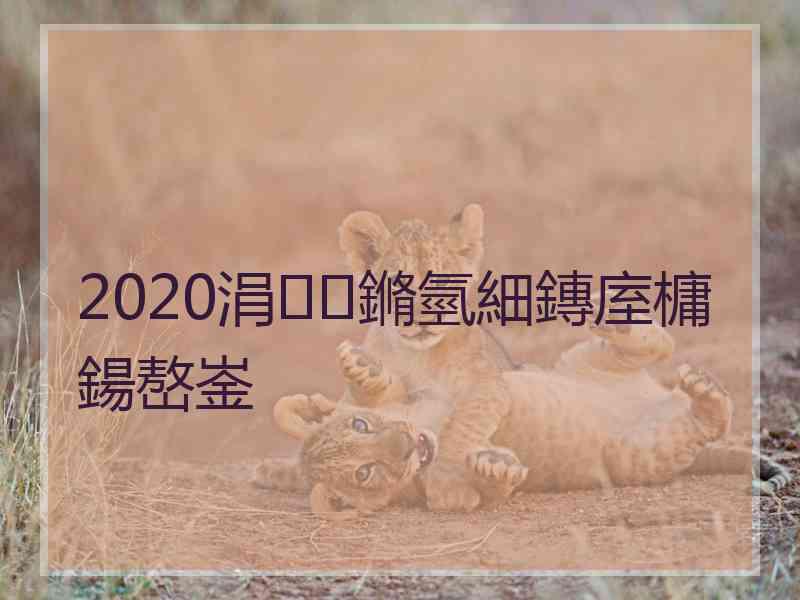 2020涓鏅氫細鏄庢槦鍚嶅崟