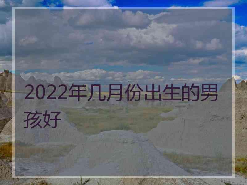 2022年几月份出生的男孩好