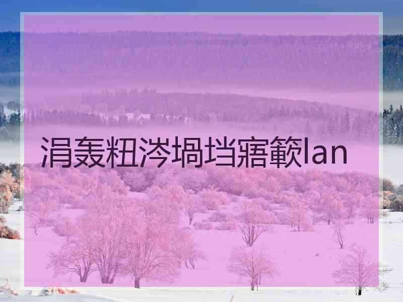 涓轰粈涔堝垱寤簐lan