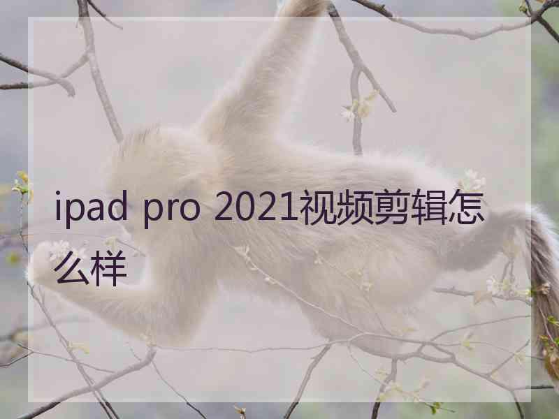 ipad pro 2021视频剪辑怎么样