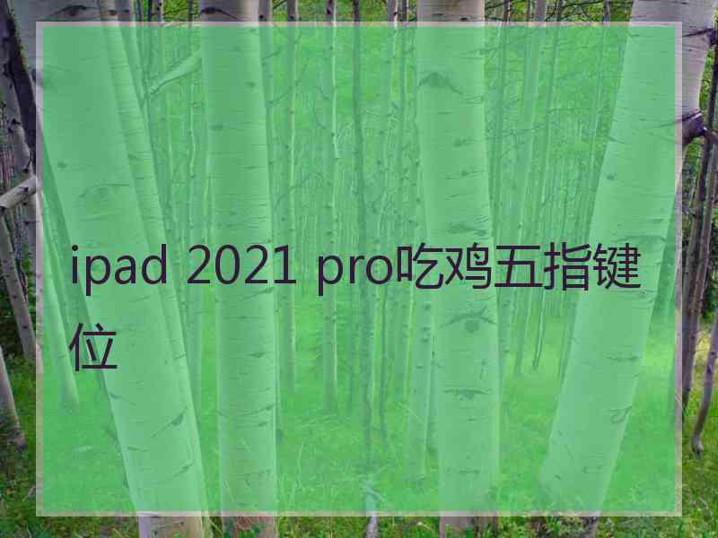 ipad 2021 pro吃鸡五指键位