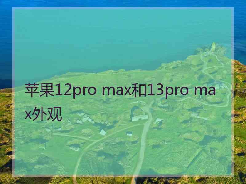 苹果12pro max和13pro max外观