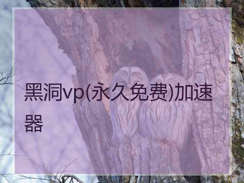 黑洞vp(永久免费)加速器