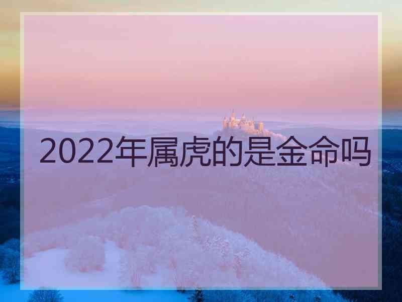 2022年属虎的是金命吗