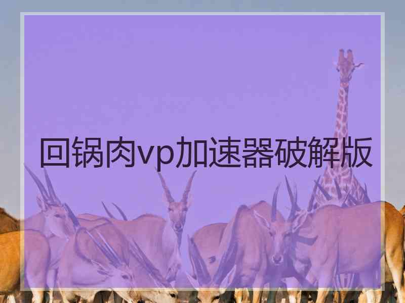 回锅肉vp加速器破解版