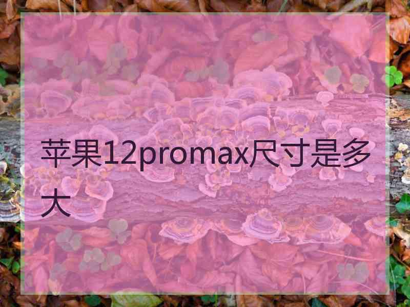 苹果12promax尺寸是多大