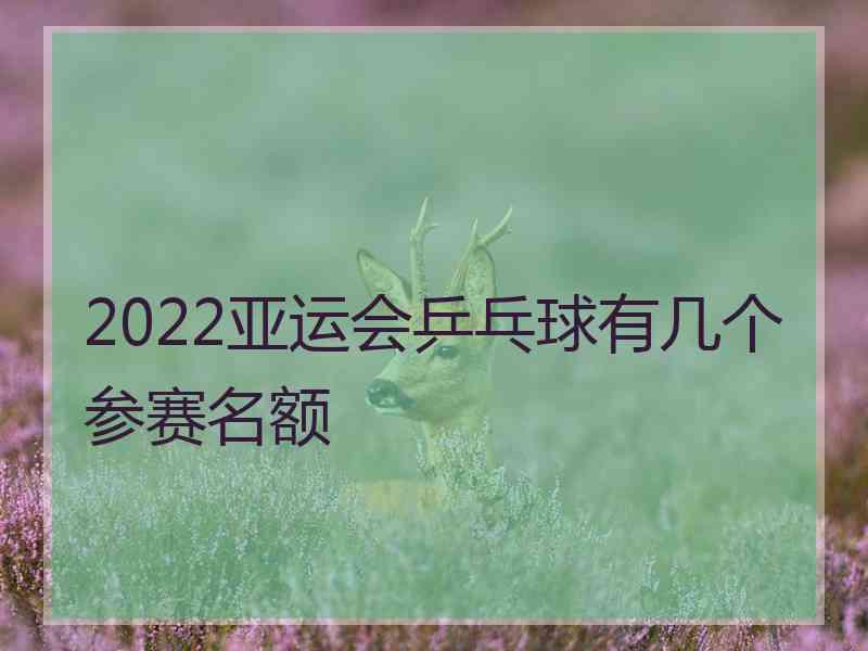 2022亚运会乒乓球有几个参赛名额